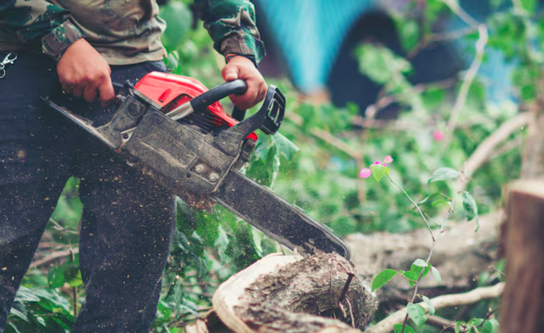 The Crucial Landscape and Safety Benefits of Professional Stump Removal Services