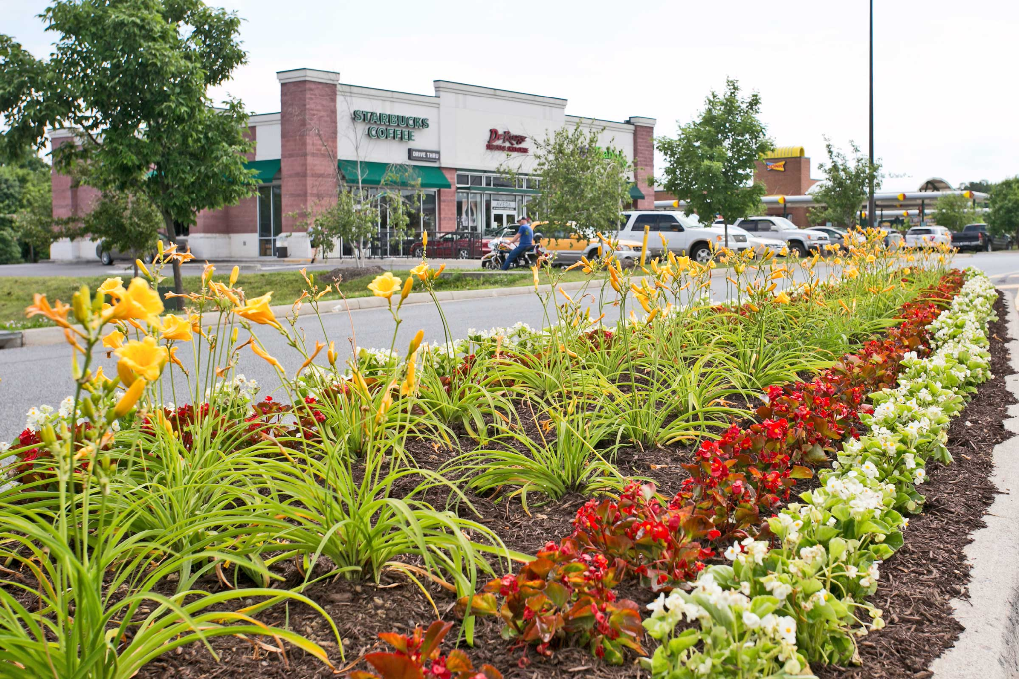 How Professional Landscaping Improves Commercial Properties
