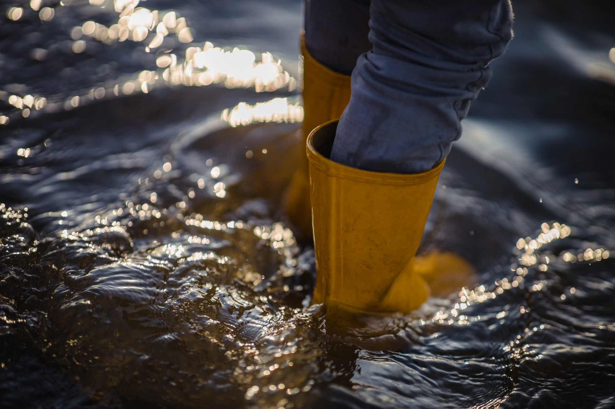5 Benefits of Professional Water Damage Mitigation