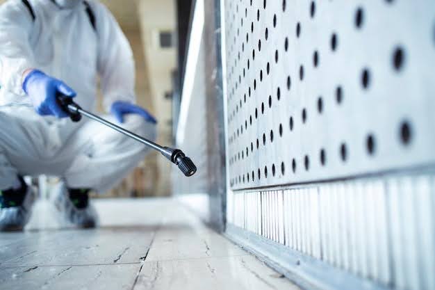 Signs Your Home Needs Professional Pest Control